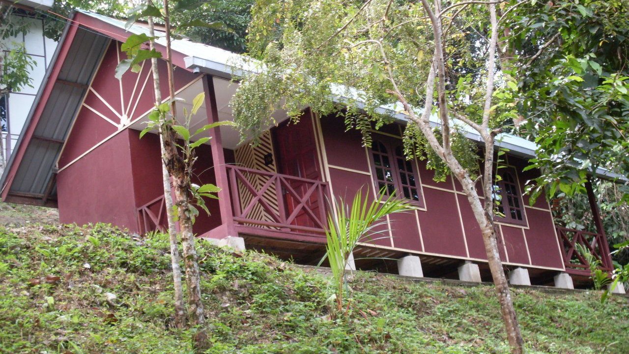 Photo of Outdoor in Kuala Tahan