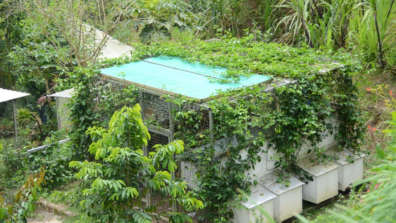 Photo of Outdoor in Lojing