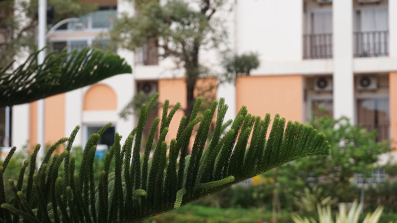 Photo of Outdoor in Ban Donnoun