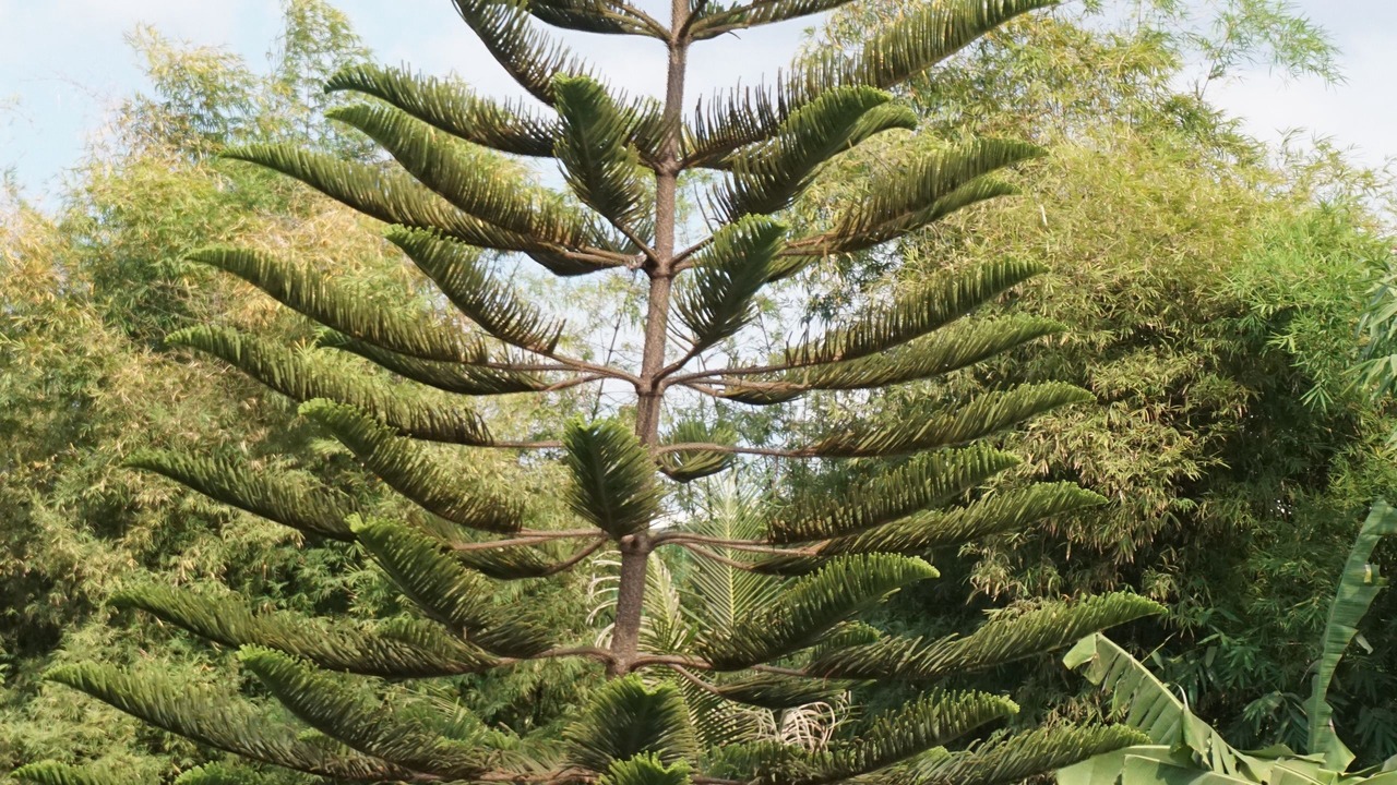 Photo of Outdoor in Ban Donnoun