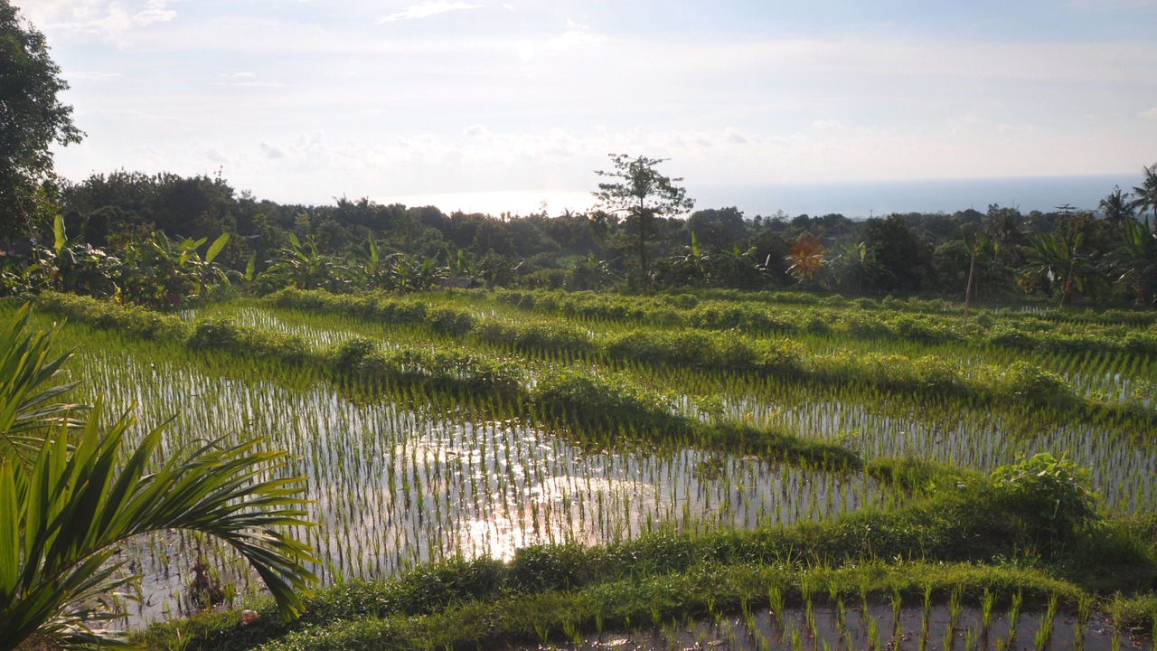 Photo of Outdoor in Kayu Putih