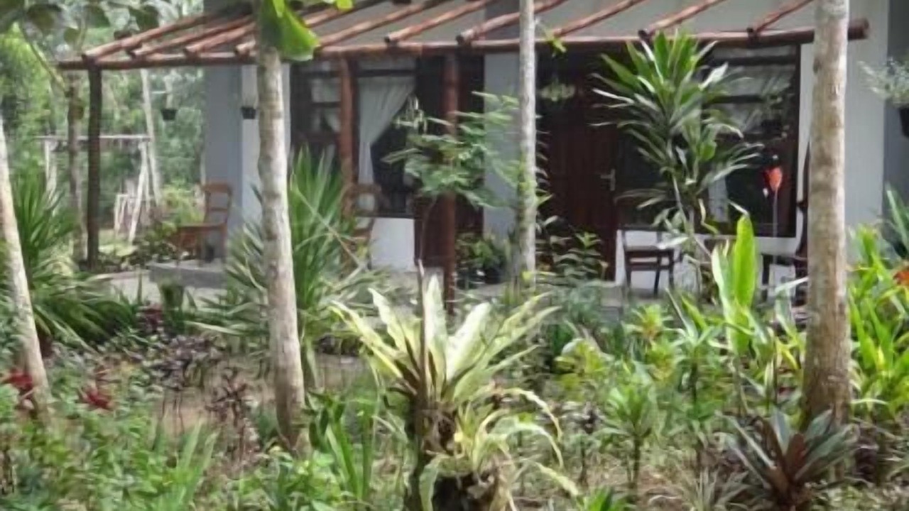 Photo of Outdoor in Nungnung
