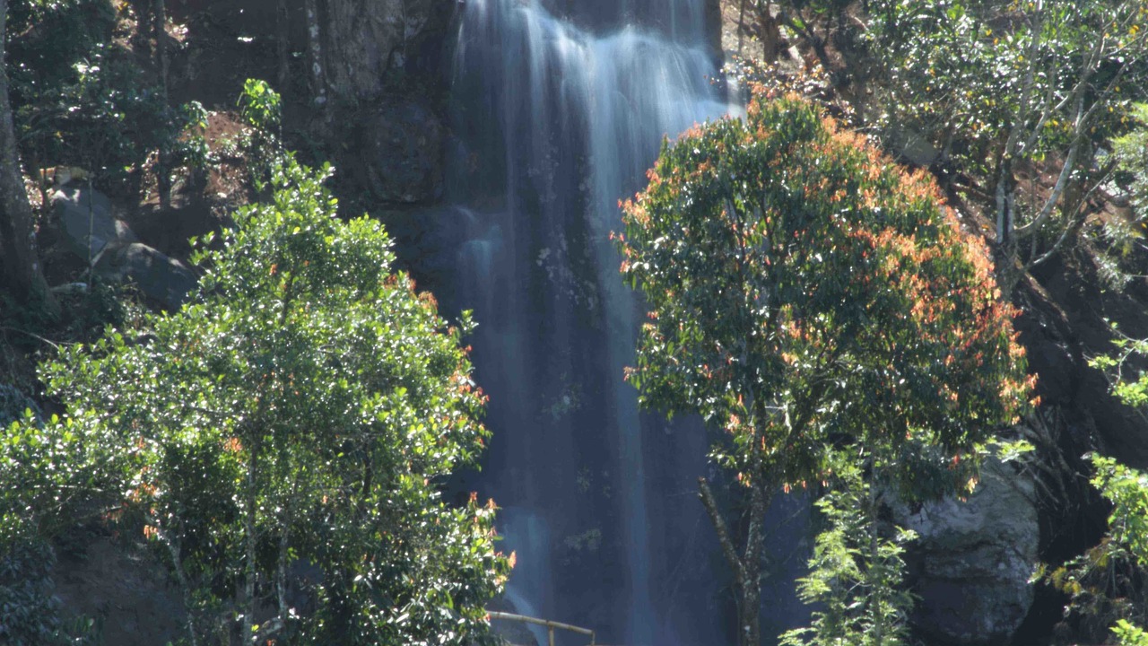Photo of Outdoor in Vythiri