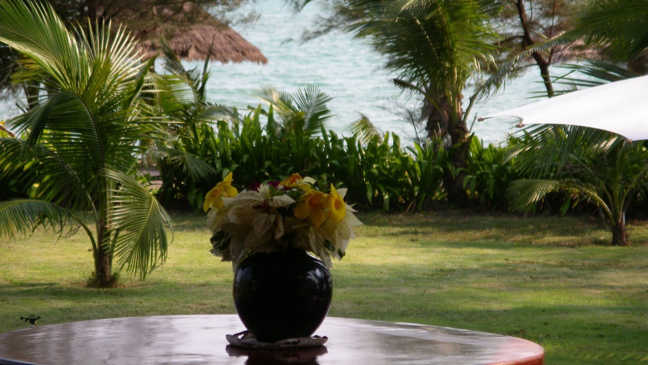 Photo of Others in Rayong