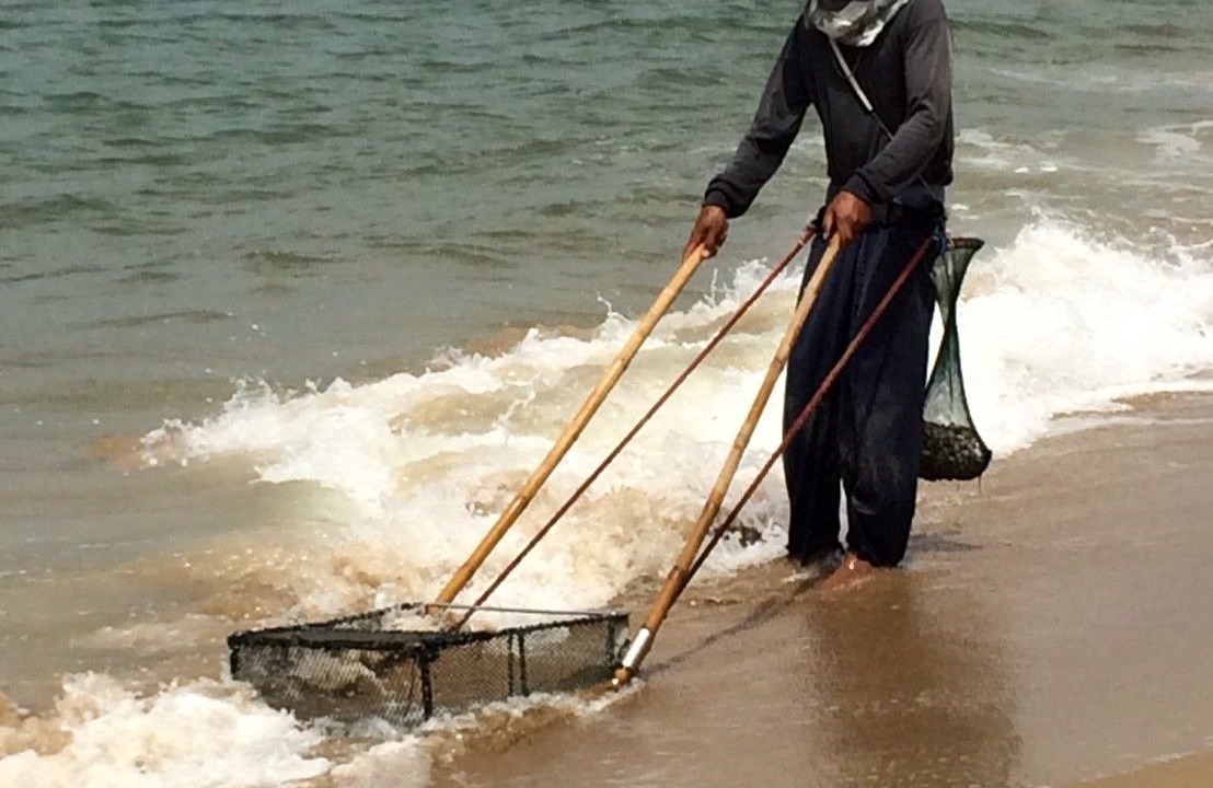 Photo of Others in Rayong