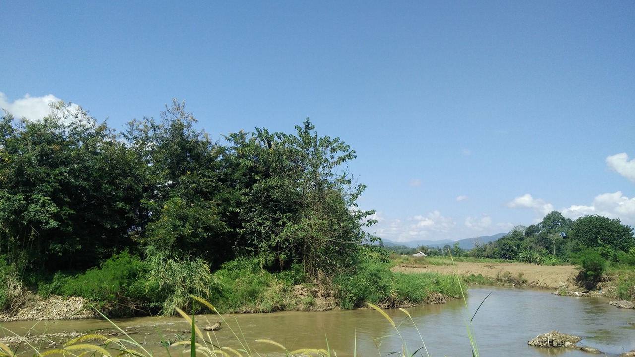 Photo of Others in Pai