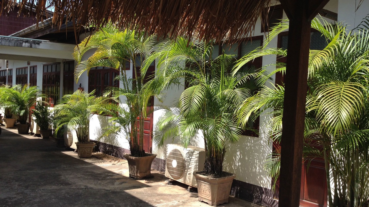 Photo of Outdoor in Vientiane
