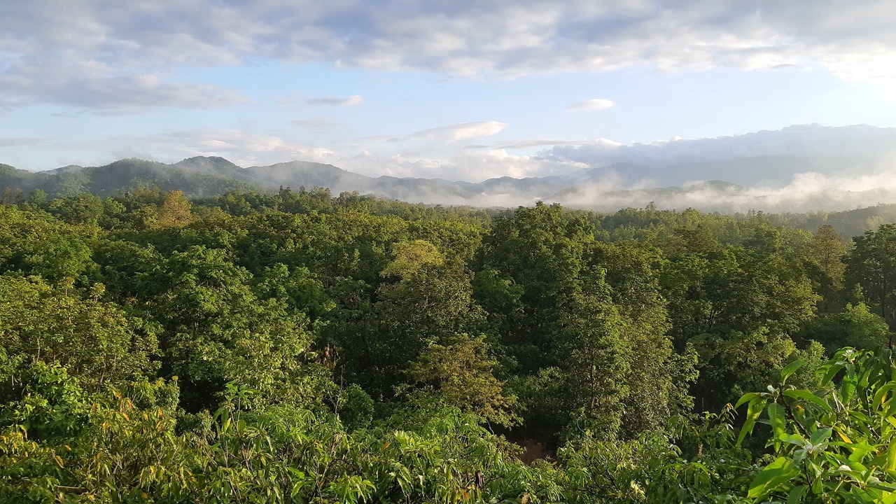 Photo of Outdoor in Hang Dong