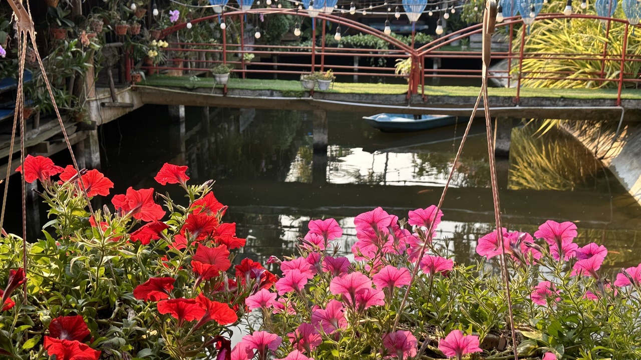 Photo of Outdoor in Cam Thanh