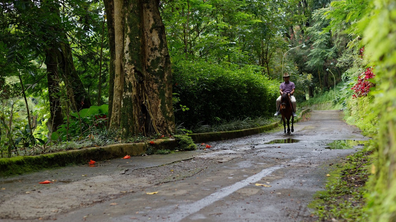 Photo of Others in Ciloto