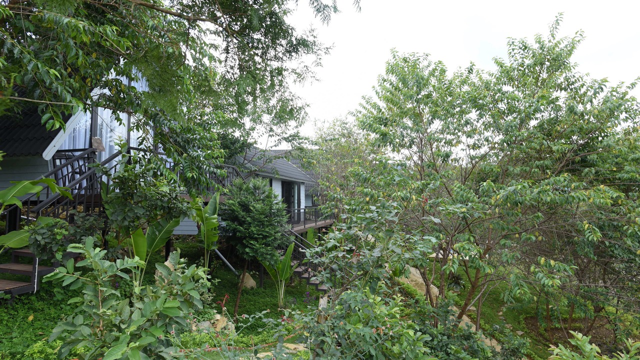 Photo of Outdoor in Van Ho