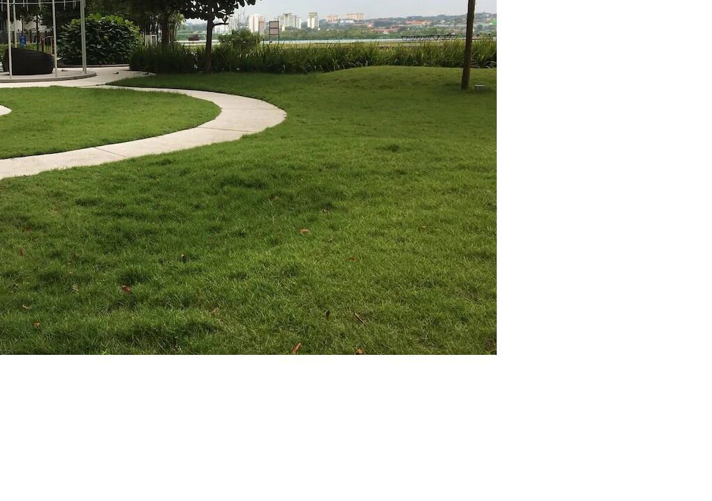 Photo of Outdoor in Taman Perling