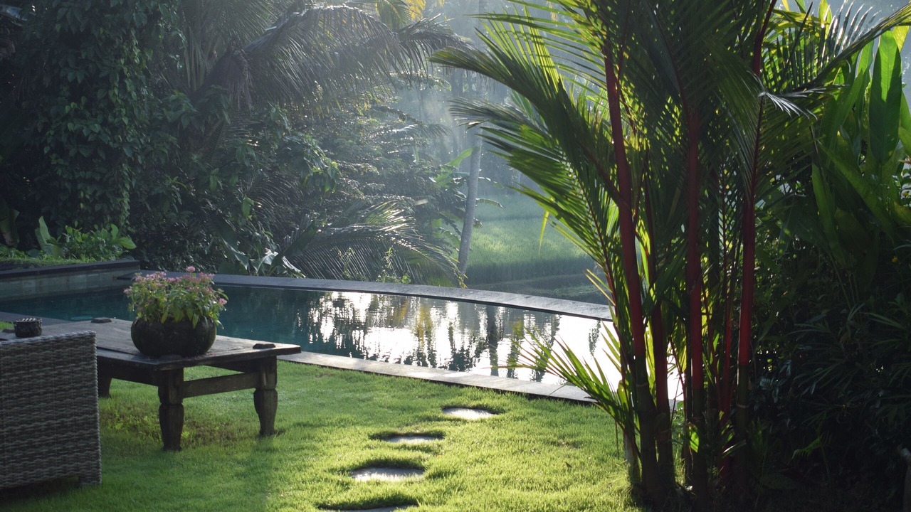 Photo of Outdoor in Tegallalang