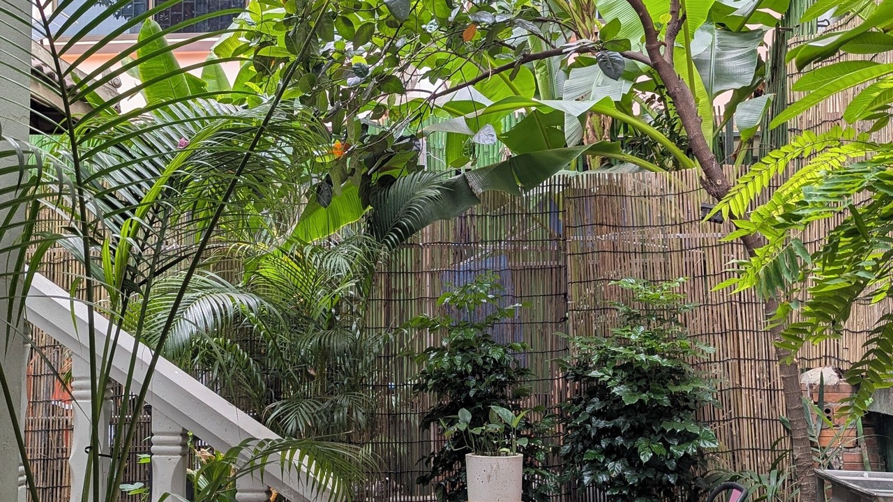 Photo of Patio Balcony in Siem Reap