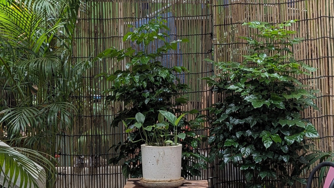 Photo of Outdoor in Siem Reap