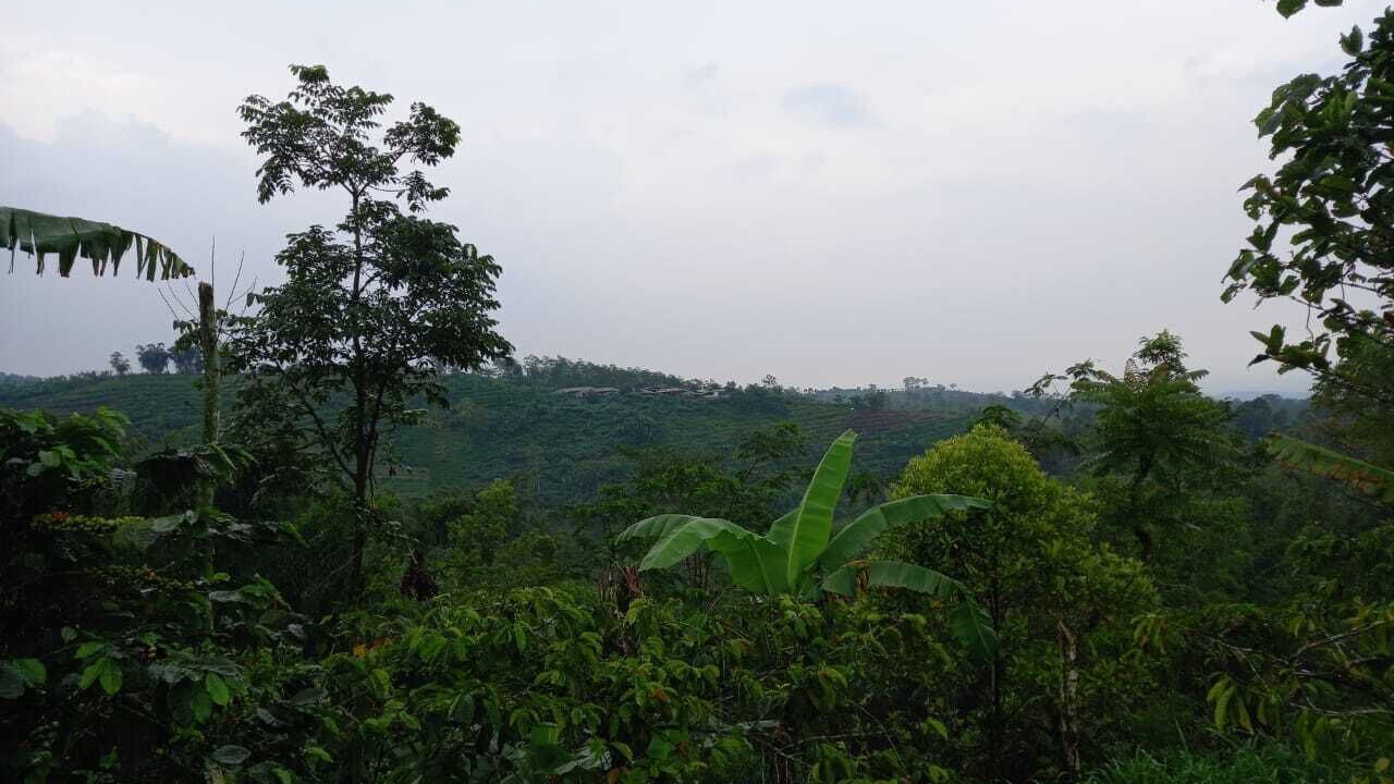Photo of Outdoor in Wonosari