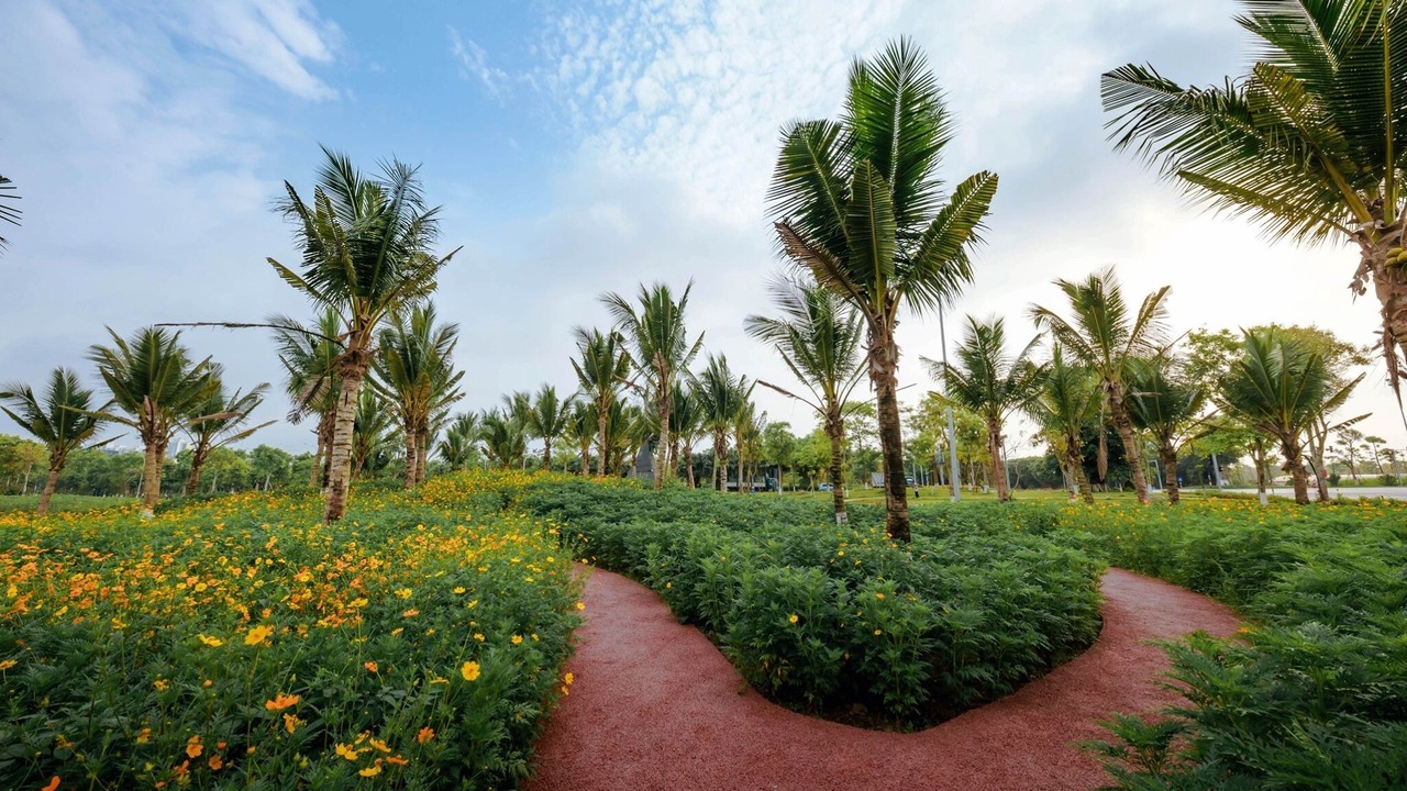 Photo of Outdoor in Van Giang