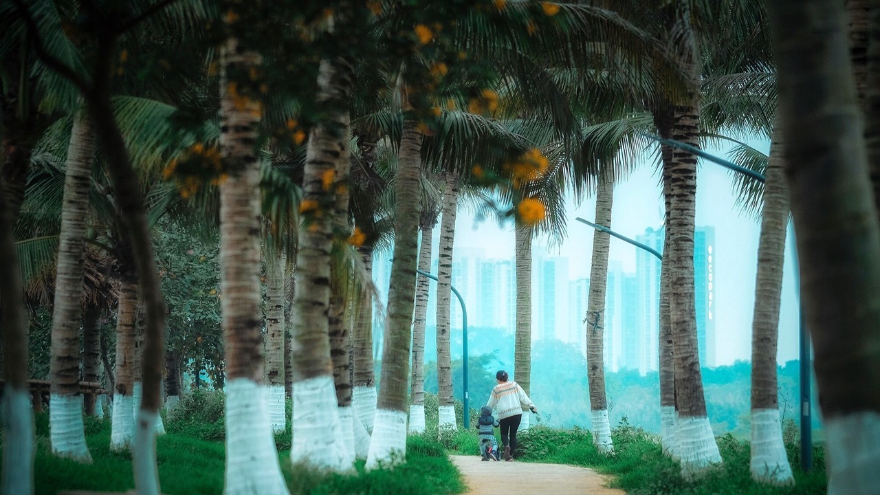 Photo of Outdoor in Van Giang
