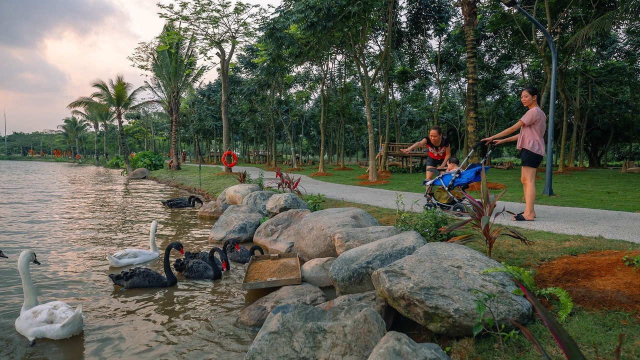 Photo of Outdoor in Van Giang