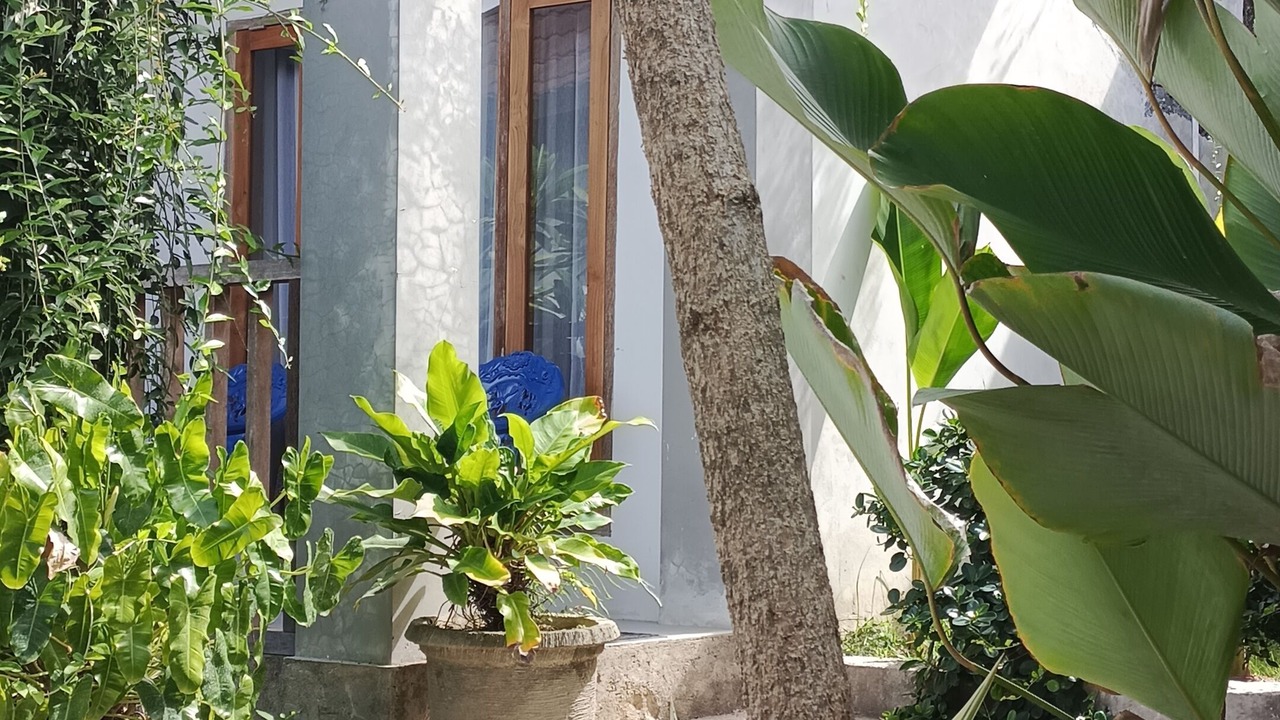 Photo of Outdoor in Kuta