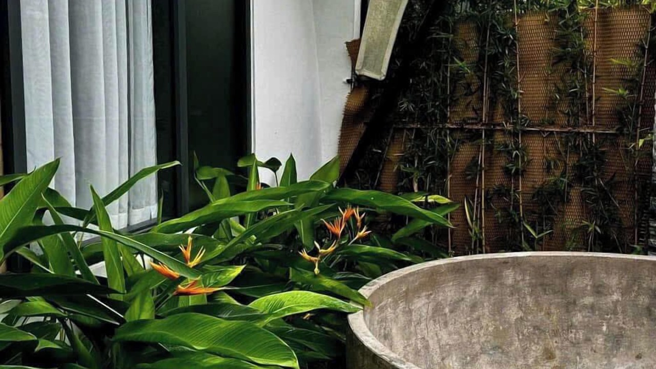 Photo of Bathroom in Hai Ha