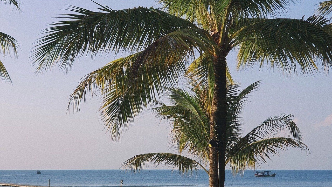 Photo of Others in Ham Ninh