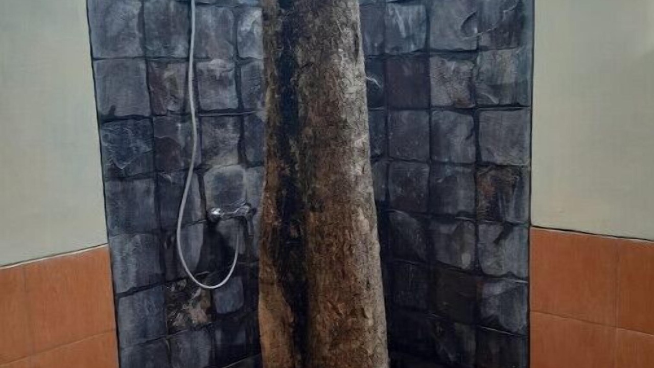 Photo of Bathroom in Dalung