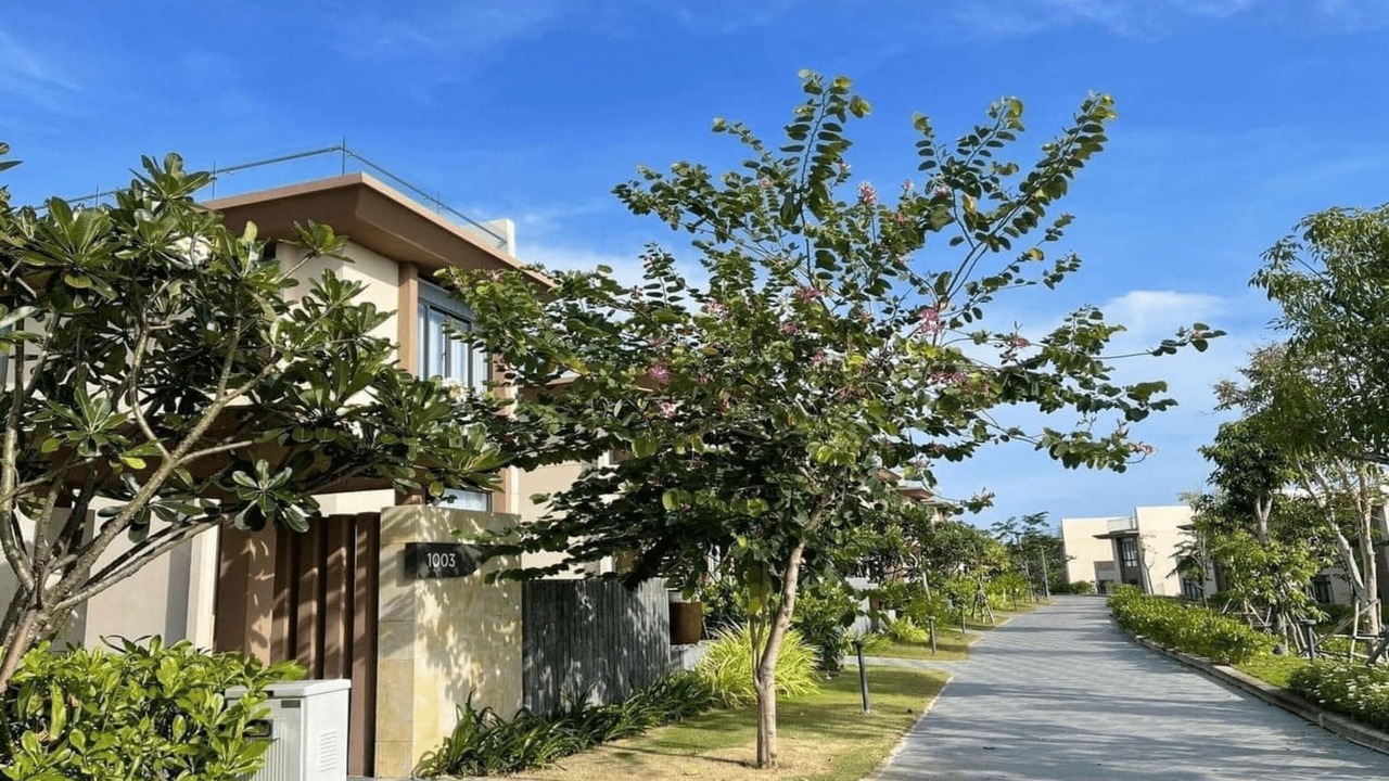 Photo of Outdoor in Cam Lam