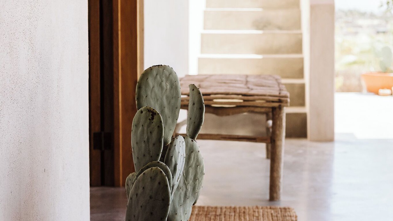 Photo of Others in Todos Santos