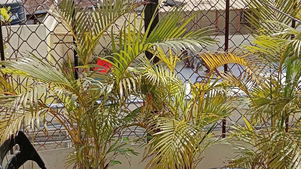 Photo of Outdoor in Marine Lines