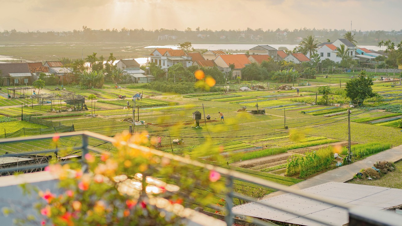 Photo of Outdoor in Hoi An City Centre