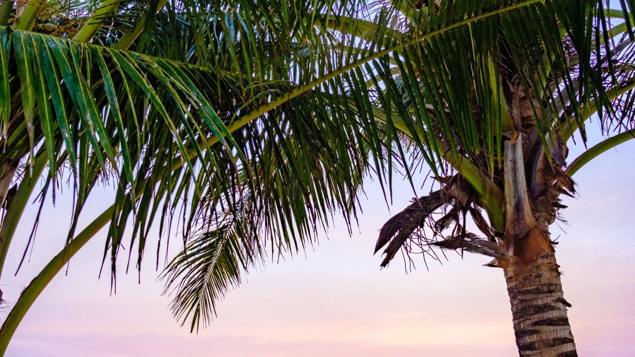Photo of Others in Kuta