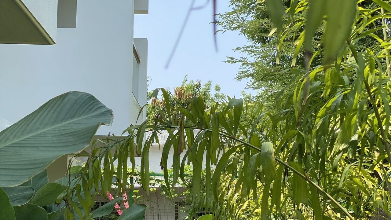 Photo of Outdoor in Kannur