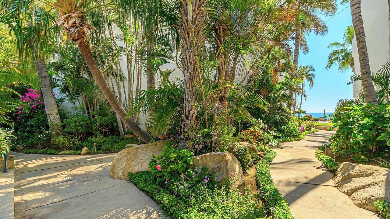 Photo of Outdoor in San Jose del Cabo
