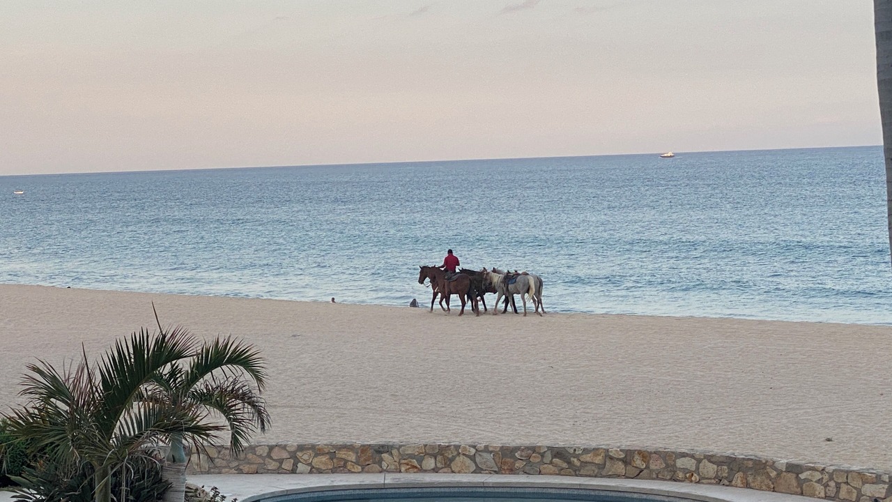 Photo of Others in San Jose del Cabo