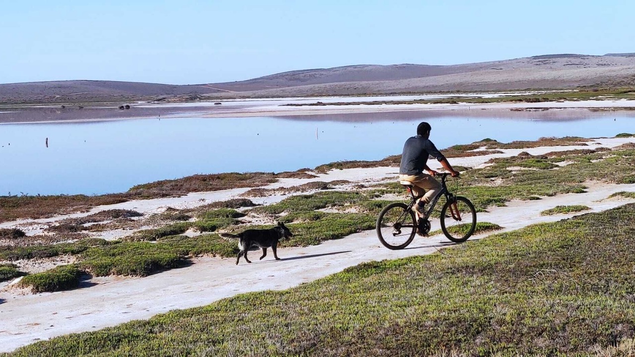 Photo of Others in San Quintin