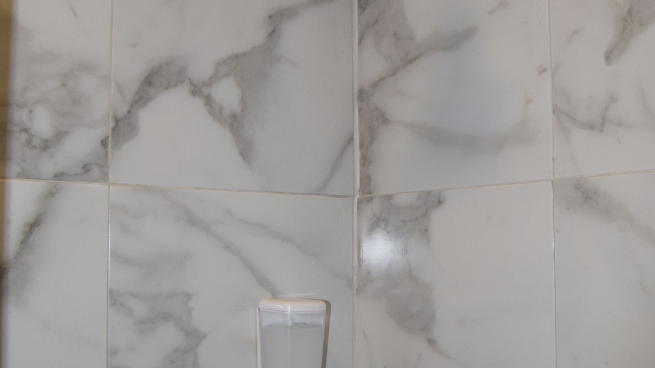 Photo of Bathroom in Colonia 10 De Abril