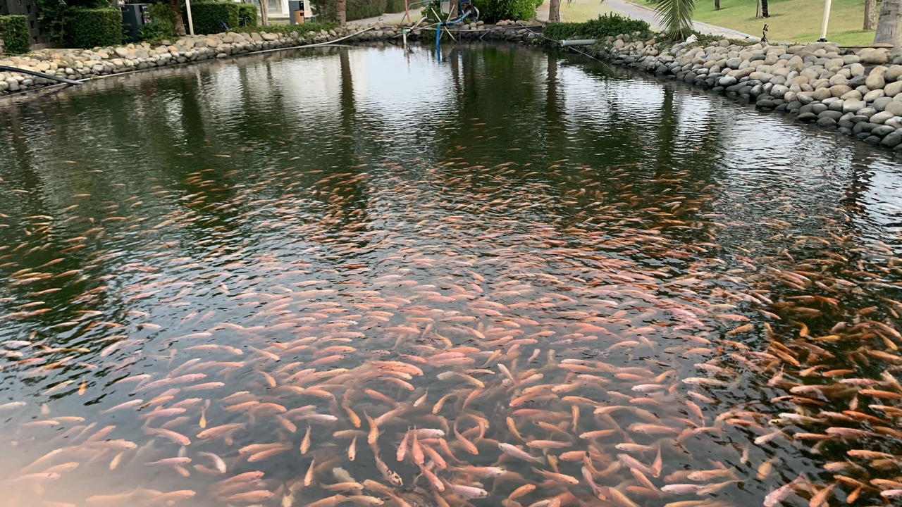 Photo of Outdoor in Long Hai