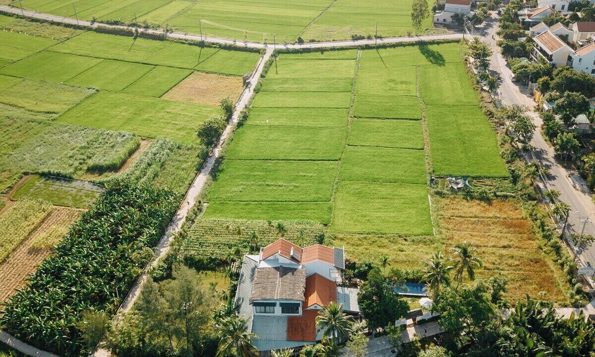 Photo of Outdoor in Cam Chau
