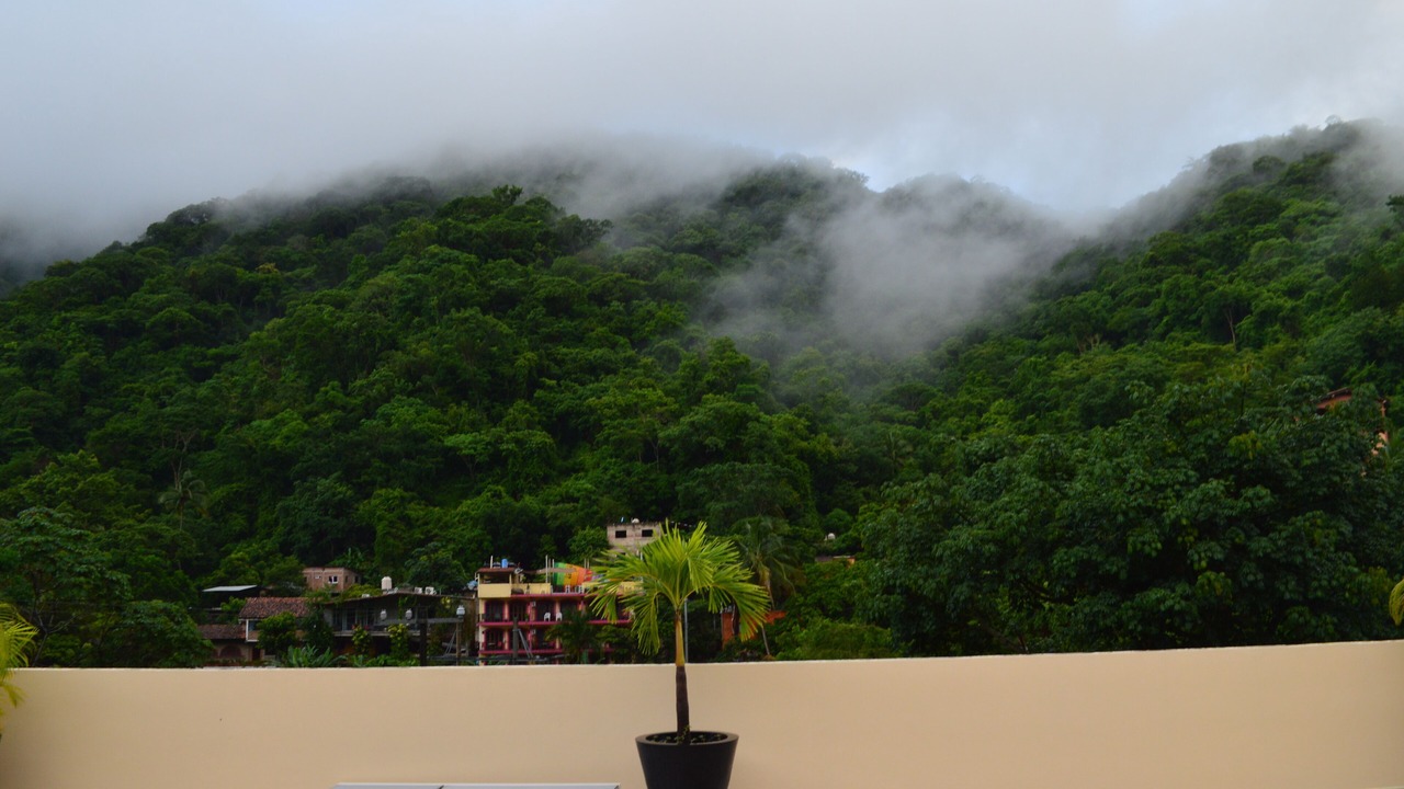 Photo of Outdoor in Boca de Tomatlan
