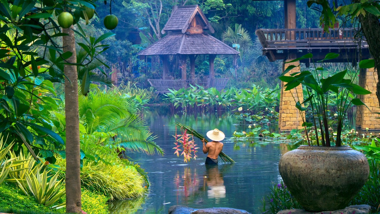 Photo of Others in Lan Dokmai Tok