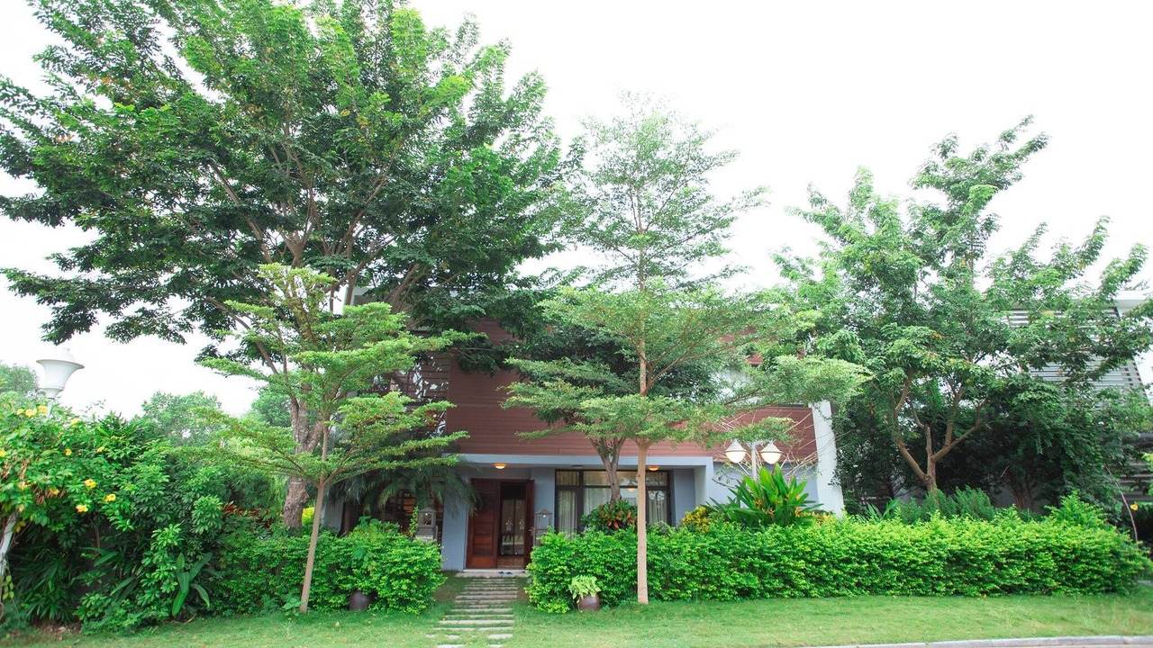 Photo of Outdoor in Ngoc Quang