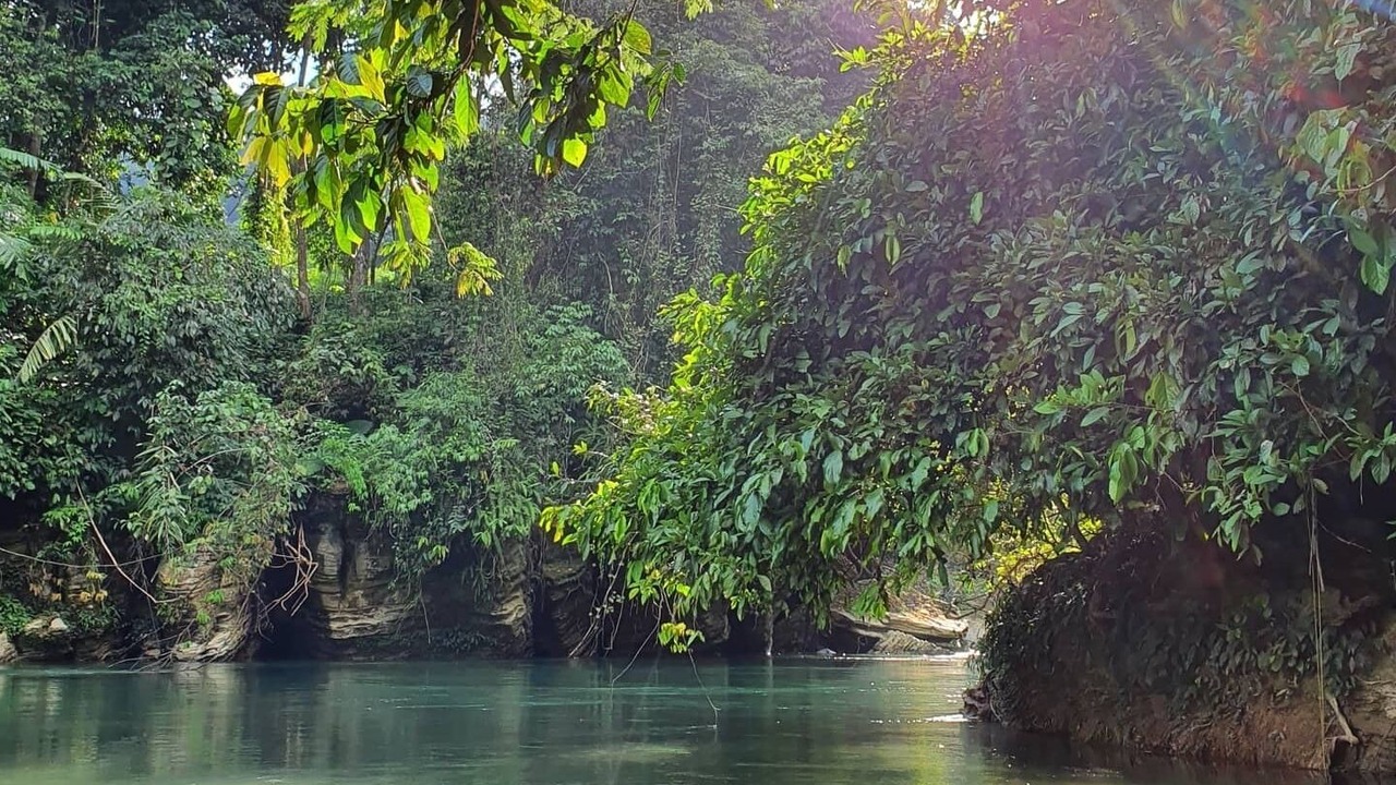 Photo of Others in Langkat