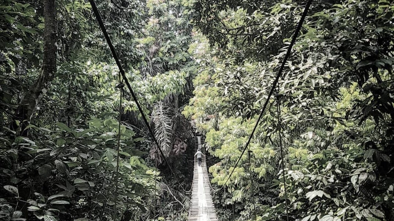 Photo of Outdoor in Langkat