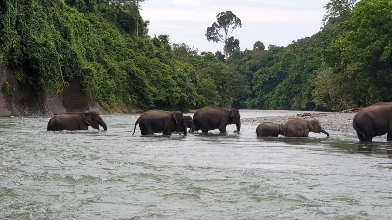 Photo of Others in Langkat