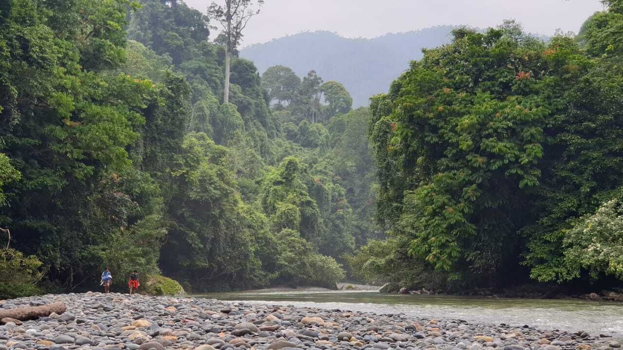 Photo of Outdoor in Langkat
