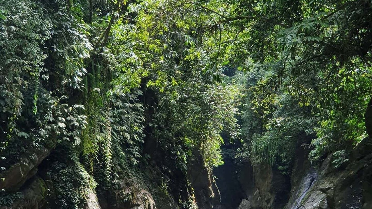 Photo of Outdoor in Langkat