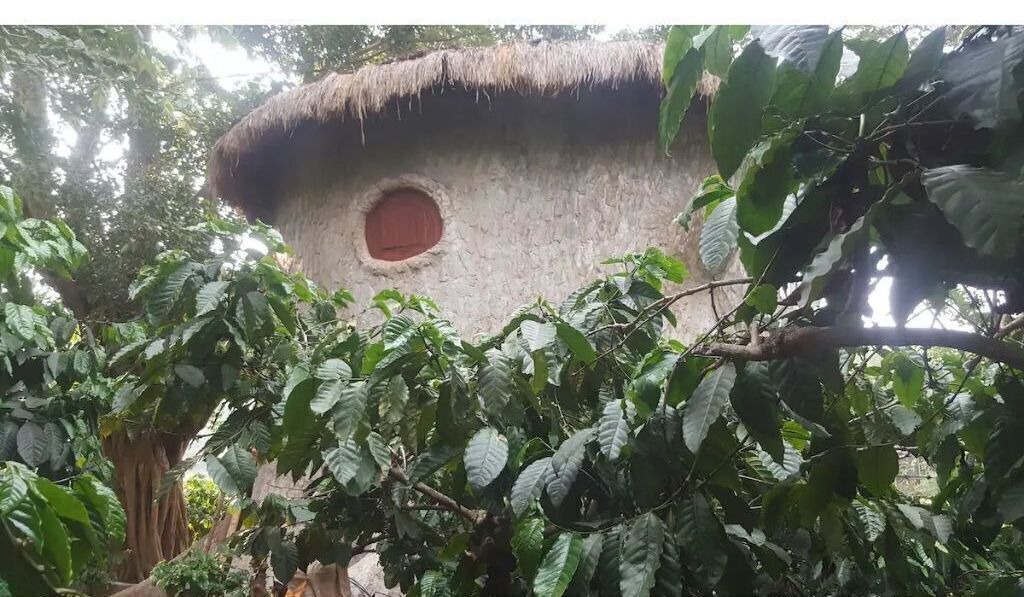 Photo of Others in Kaimane