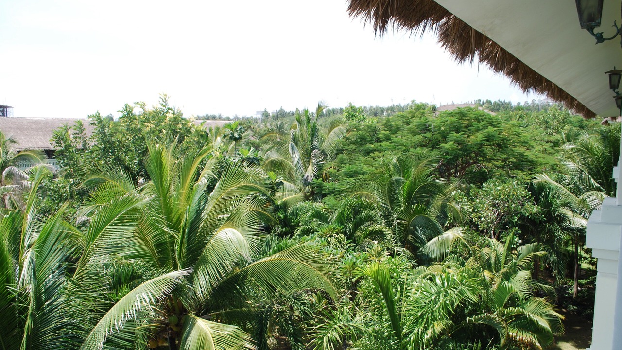Photo of Outdoor in Phu Hai Beach