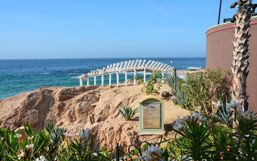 Photo of Outdoor in Cabo San Lucas